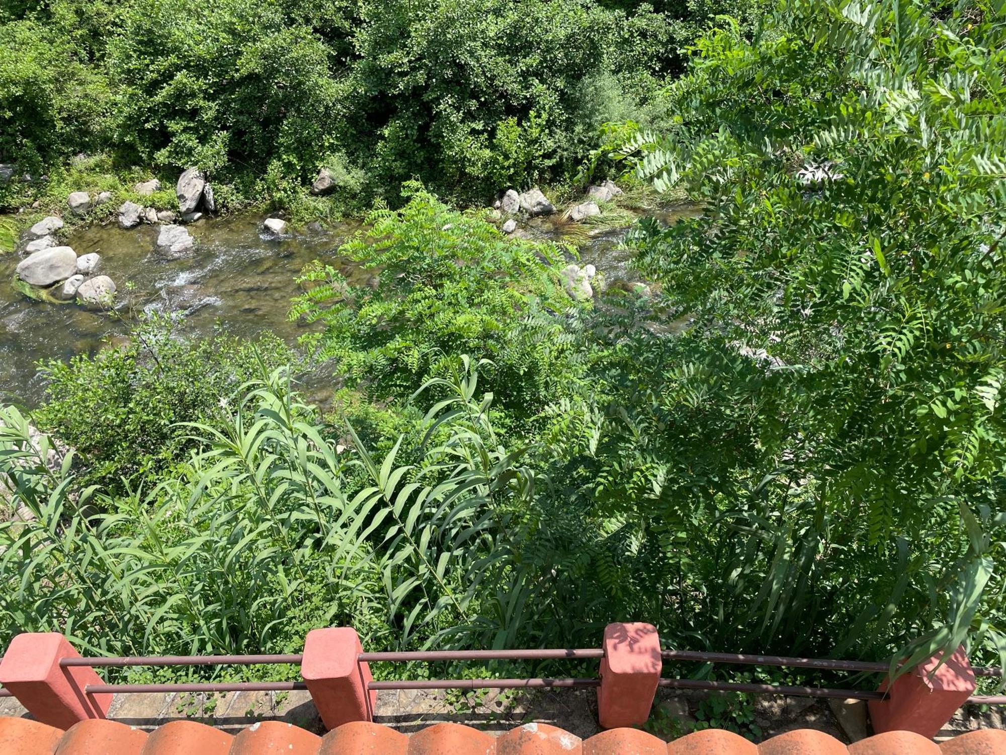 Agriturismo Del Gao Isolabona 外观 照片